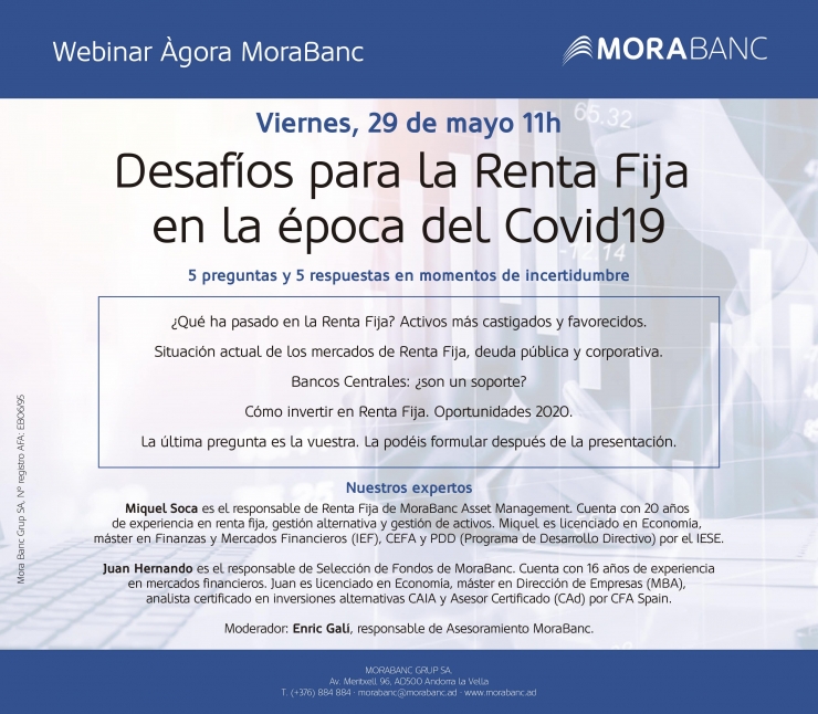 El cartell del webinar.